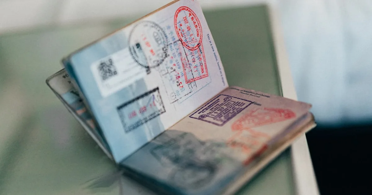 How to Get a Visa Yourself Step by Step