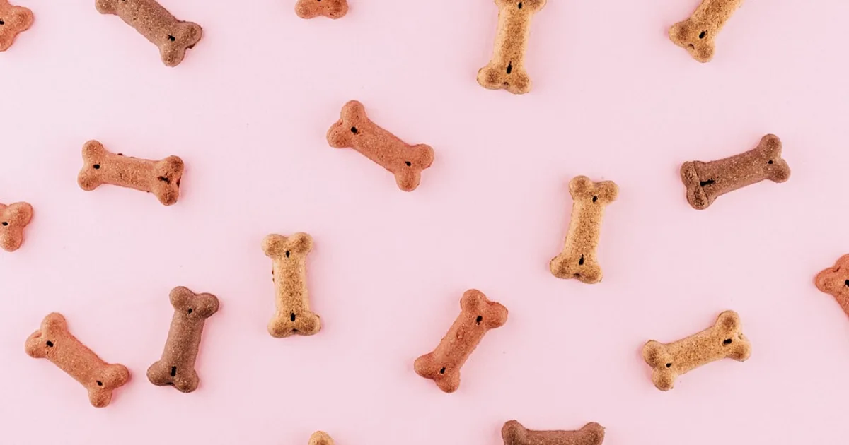 What Human Foods Are Dangerous for Dogs