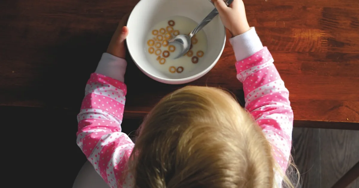 What to Cook for a Picky Eater Child